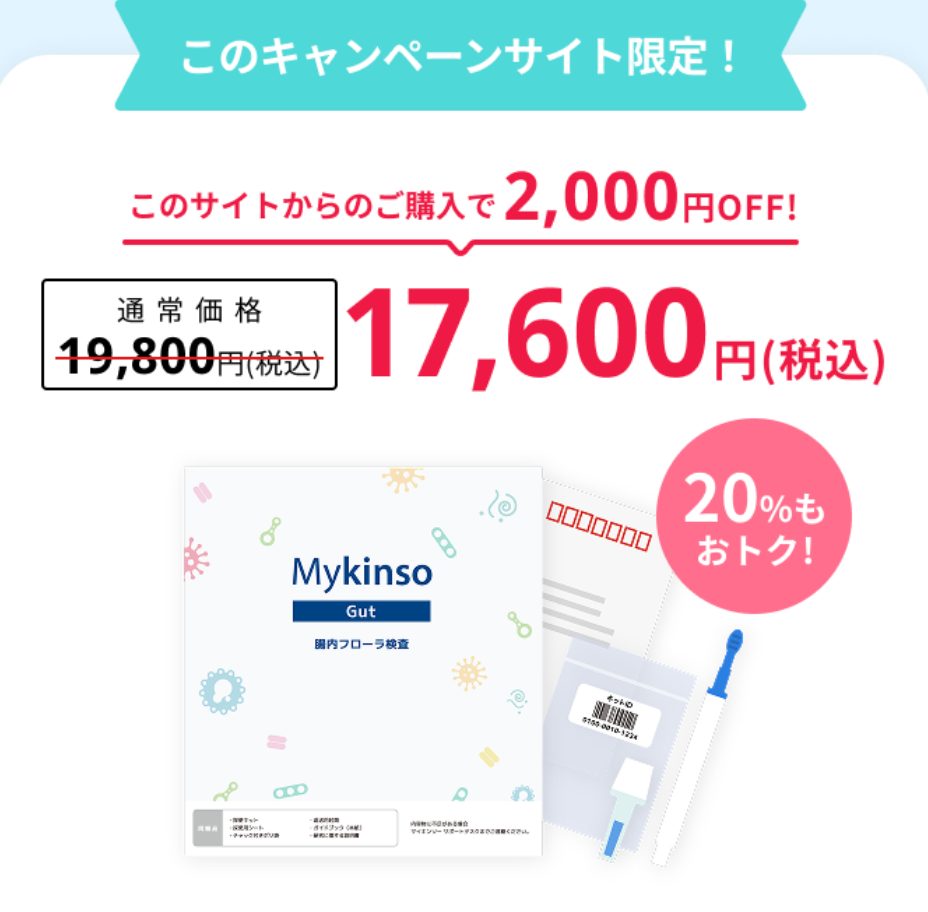 マイキンソーはキャンペーンサイトから購入することで2,000円OFFで購入できることがわかった。