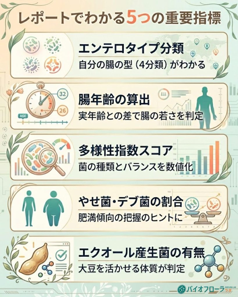 菌ドックのレポートでわかる5つの重要指標を図解。エンテロタイプ、腸年齢、多様性、やせ菌デブ菌、エクオール産生菌について整理