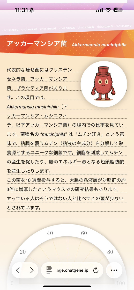 検査レポートに掲載されたアッカーマンシア菌の説明画面